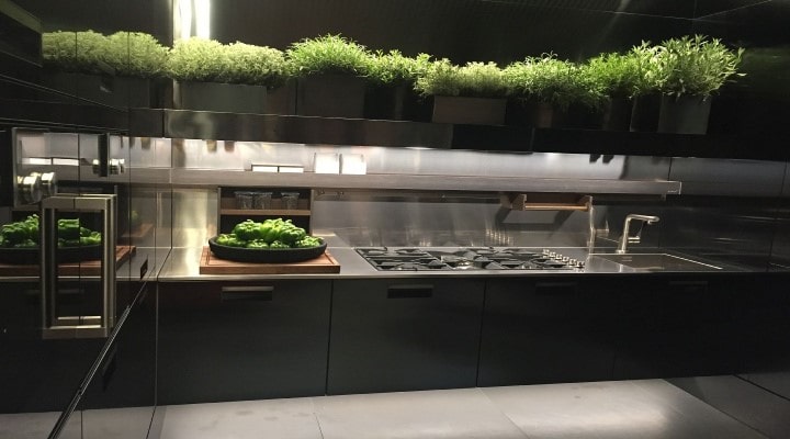 استفاده از گیاهان در چیدمان آشپزخانه